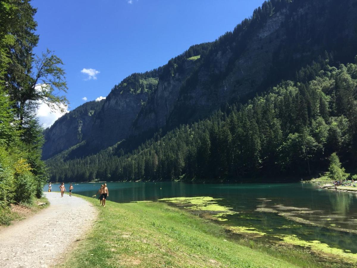 Appartamento Les Cimes Samoëns Esterno foto